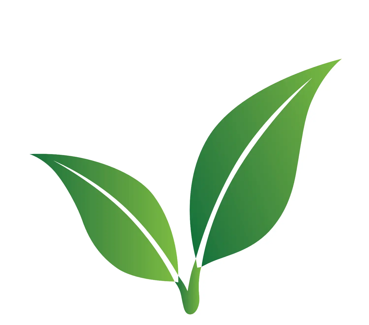 Green Tech Designs - Landscaping in El Paso